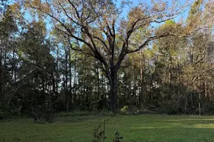 1012 Fleming Bridge Rd, Milton, FL 32570 - Photo 1