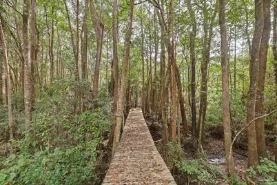 3603 Perdido Lake Rd, Cantonment, FL 32533 - Photo 54