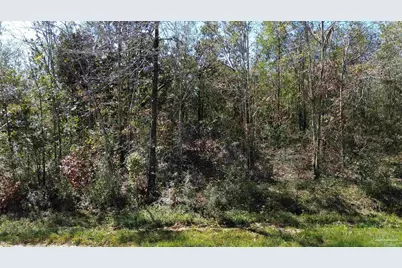Lot 7A Pineview Church Rd, Jay, FL 32565 - Photo 1