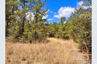 Lot 10 Naturewalk Dr, Jay, FL 32565 - Photo 4