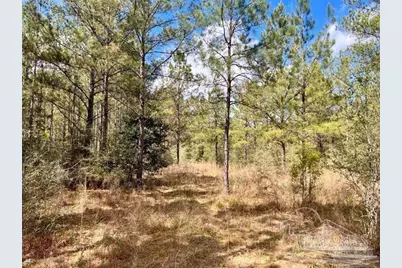 Lot 10 Naturewalk Dr, Jay, FL 32565 - Photo 6