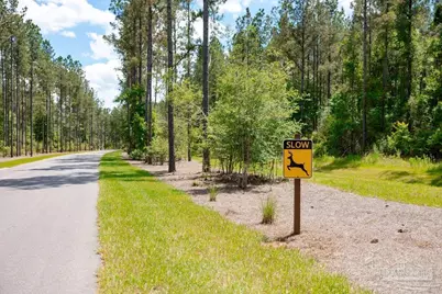 Lot 10 Naturewalk Dr, Jay, FL 32565 - Photo 2