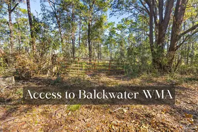 9658 Hwy 90, Milton, FL 32583 - Photo 6