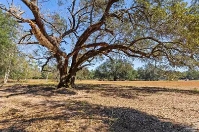 9658 Hwy 90, Milton, FL 32583 - Photo 4