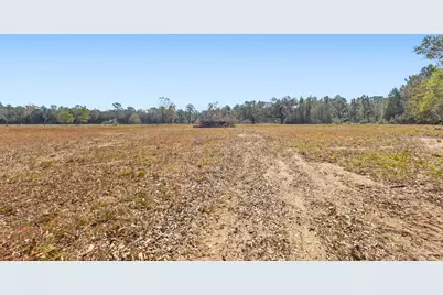 9658 Hwy 90, Milton, FL 32583 - Photo 14