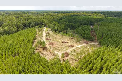 Tbd Richardson Rd, Cantonment, FL 32577 - Photo 4