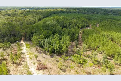 Tbd Richardson Rd, Cantonment, FL 32577 - Photo 6