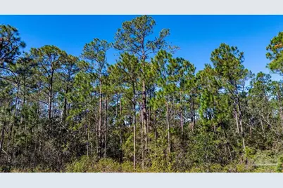 Tbd Bergren Rd, Gulf Breeze, FL 32563 - Photo 12