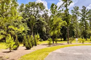 Lot 17 Pine Preserve Ln, Jay, FL 32565 - Photo 1