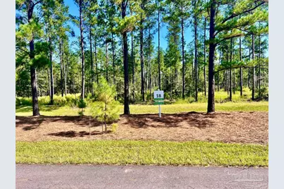 Lot 18 Pine Preserve Ln, Jay, FL 32565 - Photo 1