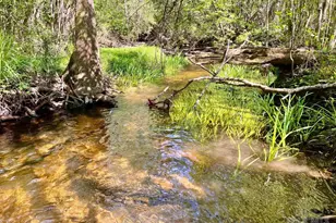 Lot 25 Ashbridge Ln, Jay, FL 32565 - Photo 1