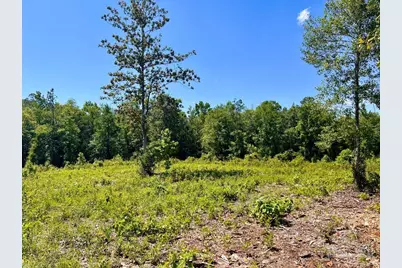 Lot 2-C Cotton Lake Rd, Molino, FL 32577 - Photo 1