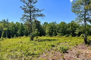 Lot 2-C Cotton Lake Rd, Molino, FL 32577 - Photo 1