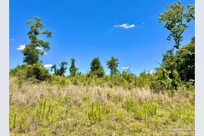Lot 7-C Cotton Lake Rd, Molino, FL 32577 - Photo 1
