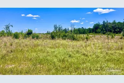 Lot 13-C Cotton Lake Rd, Molino, FL 32577 - Photo 1
