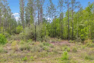 Lot 8 Mineral Springs Rd, Jay, FL 32565 - Photo 1