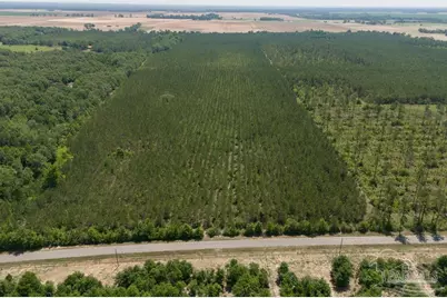 3 Bud Diamond Rd, Jay, FL 32565 - Photo 1