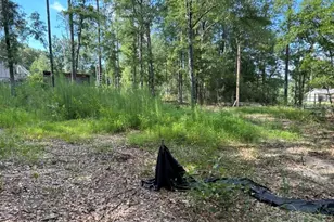 3109 Schifko Rd, Cantonment, FL 32533 - Photo 1