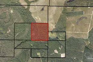00500 Wayne Bowman Rd, Jay, FL 32565 - Photo 1