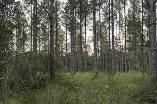 Lot 1 Wallace Lake Rd, Pace, FL 32571 - Photo 1