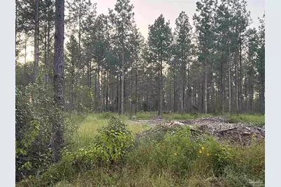 Lot 4 Wallace Lake Rd, Pace, FL 32571 - Photo 1