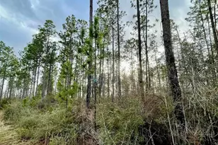 3700 Block Hwy 168, Century, FL 32535 - Photo 1