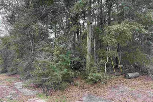 4829 OBryan Way, Pace, FL 32571 - Photo 1