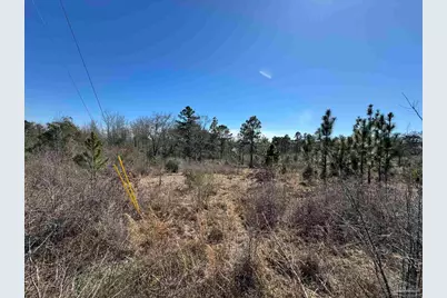 Lot 3 Will Jones Rd, Jay, FL 32565 - Photo 1