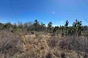 Lot 3 Will Jones Rd, Jay, FL 32565 - Photo 1