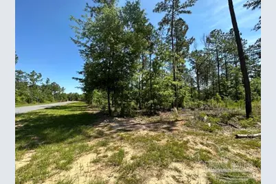 16 Steele Meadow Dr, Pace, FL 32571 - Photo 1