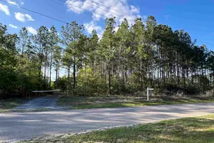 0000 10 Mile Rd, Pace, FL 32571 - Photo 1