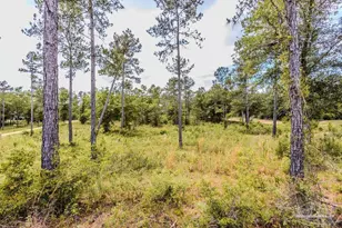 7435 Tidwell Rd, Pace, FL 32571 - Photo 1