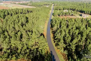 Lot 67 Sage Forest Ln, Pace, FL 32571 - Photo 1