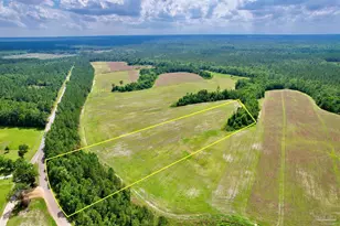 Lot 49 Mineral Springs Rd, Jay, FL 32565 - Photo 1