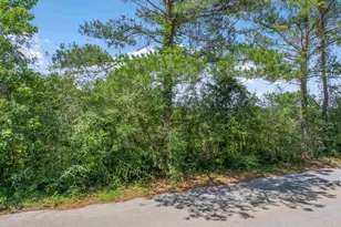 Lot 1 Sid Hayes Rd, Jay, FL 32565 - Photo 1