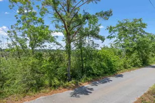Lot 2 Sid Hayes Rd, Jay, FL 32565 - Photo 1