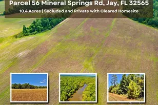 Lot 56 Mineral Springs Rd, Jay, FL 32565 - Photo 1