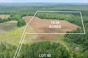 Lot 55 Mineral Springs Rd, Jay, FL 32565 - Photo 1