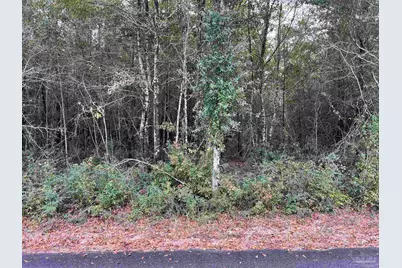 Lot 13 Horace Lunsford Rd, Milton, FL 32570 - Photo 1
