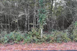 Lot 13 Horace Lunsford Rd, Milton, FL 32570 - Photo 1