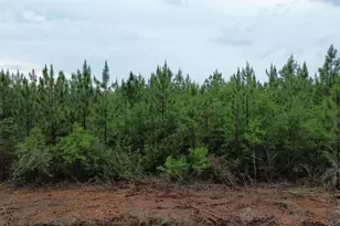 Lot 8 Pineview Church Rd, Jay, FL 32565 - Photo 1