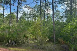 00 N 34th Ave, Milton, FL 32583 - Photo 1