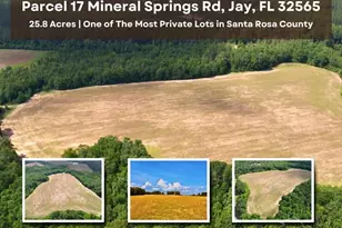 Parcel 17 Mineral Springs Rd, Jay, FL 32565 - Photo 1
