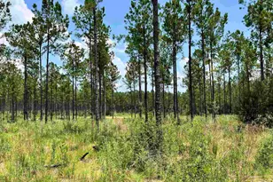 Xx17 Indian Ford Rd, Milton, FL 32570 - Photo 1