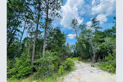 1292 Mineral Springs Rd, Jay, FL 32565 - Photo 1