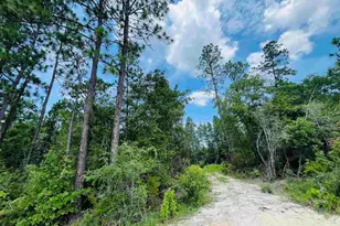 1292 Mineral Springs Rd, Jay, FL 32565 - Photo 1