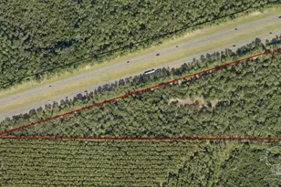 000 Big Buck Rd, Harold, FL 32563 - Photo 1