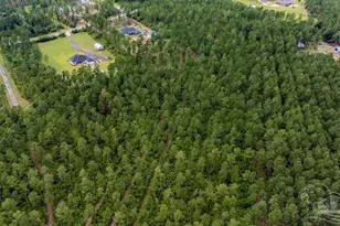 54 Sage Forest Ln, Pace, FL 32571 - Photo 1