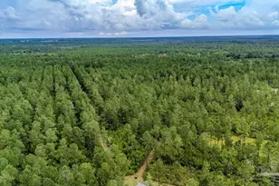 55 Sage Forest Ln, Pace, FL 32571 - Photo 1