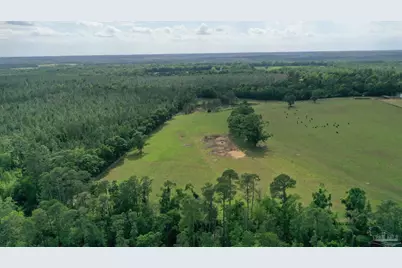 Lot 4 Hall Rd, Jay, FL 32565 - Photo 1